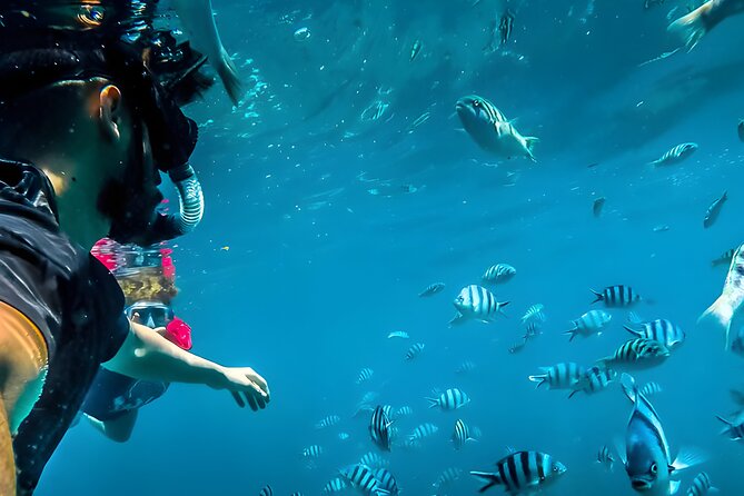 Blue Lagoon Snorkeling - Bali Best Snorkeling Site - Key Points Before You Book