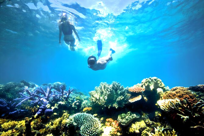 Blue Lagoon Snorkeling - Bali Best Snorkeling Site - Lunch, Showers, and the Practical Finish