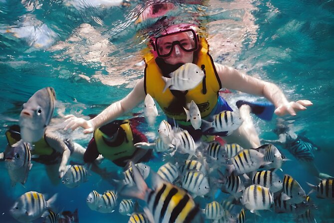 Blue Lagoon Snorkeling - Bali Best Snorkeling Site - Is the $65 Price Good Value?