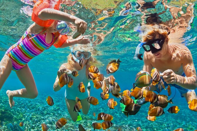Blue Lagoon Snorkeling - Cave Waterfall - And More - All Included + FREE Wi-Fi - What to expect at Tukad Cepung waterfall