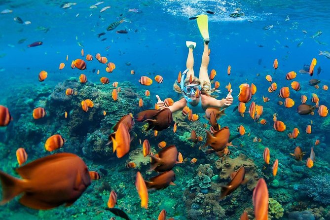 Blue Lagoon Snorkeling - Jungle Swing - Ubud - All Inclusive - Blue Lagoon snorkeling and the private boat advantage