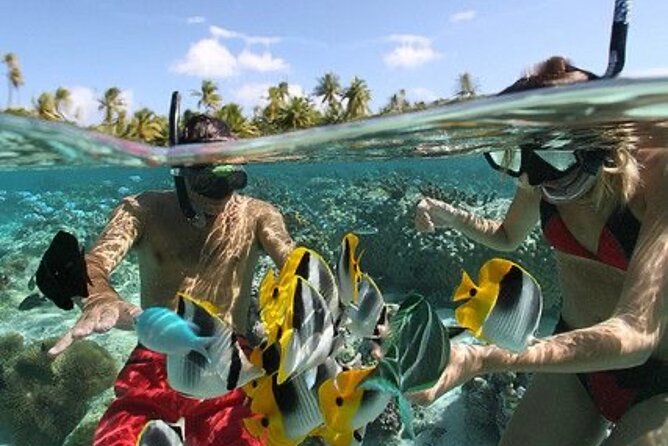 Blue Lagoon Snorkeling - Lunch - Kantolampo - Tibumana Waterfall - Is $39.60 good value?