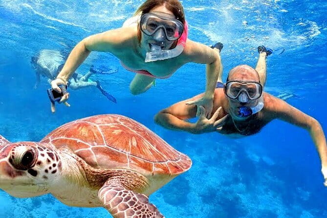 Blue Lagoon Snorkeling with Lunch and Private Transport - What you can see beneath the surface