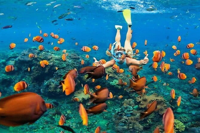 Blue Lagoon Snorkeling with Lunch and Private Transport - What the $60 price really covers