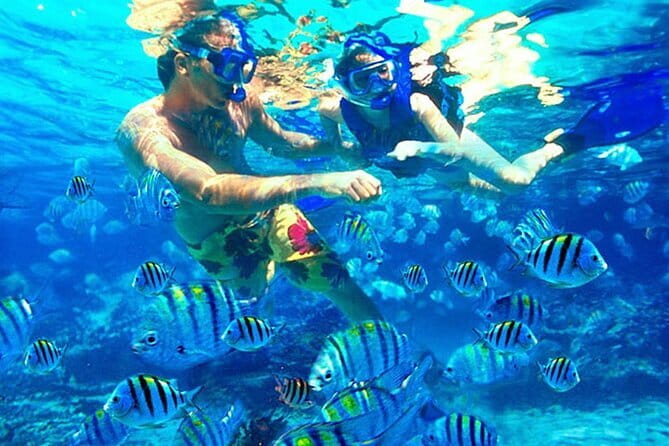 Blue Lagoon Snorkeling with Lunch and Waterfall in Ubud - About Two Hours in the Water at Two Snorkeling Spots