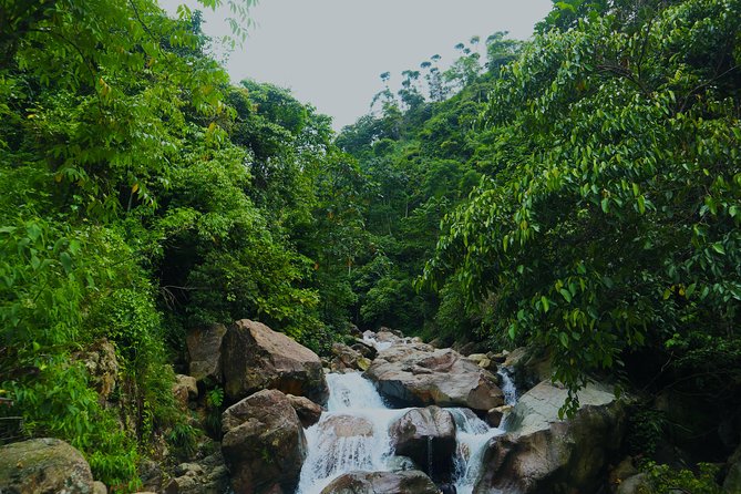 Bogor Botanical Garden & Rainforest Trekking to Hidden Waterfall - The road from Jakarta to Bogor