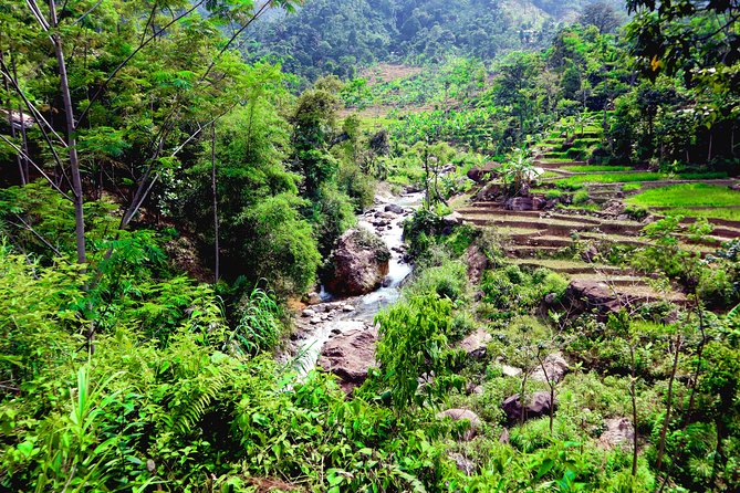 Bogor Botanical Garden & Rainforest Trekking to Hidden Waterfall - Cikaracak Waterfall and the chance to get wet
