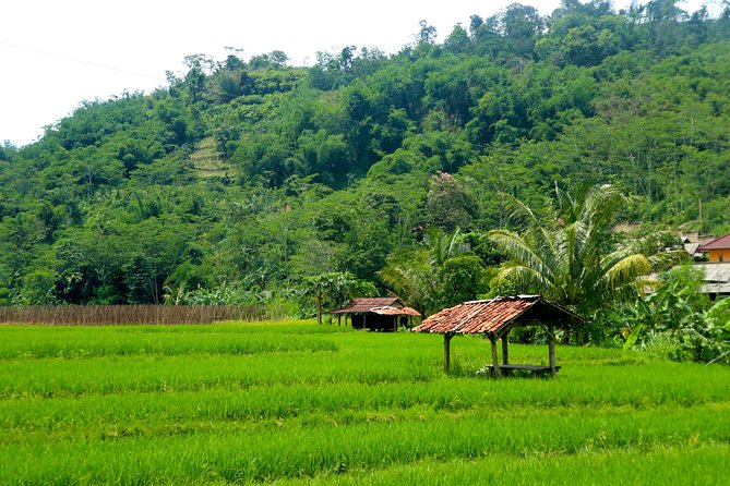 Bogor Botanical Garden & Rainforest Trekking to Hidden Waterfall - Lunch, bottled water, and what the $95 price covers