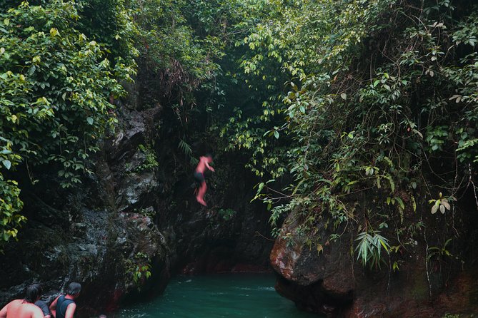 Bogor Botanical Garden & Rainforest Trekking to Hidden Waterfall - Guides, drivers, and the value of a private day