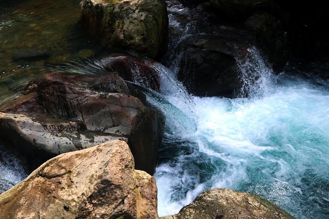 Bogor Botanical Garden & Rainforest Trekking to Hidden Waterfall - Who should book this experience