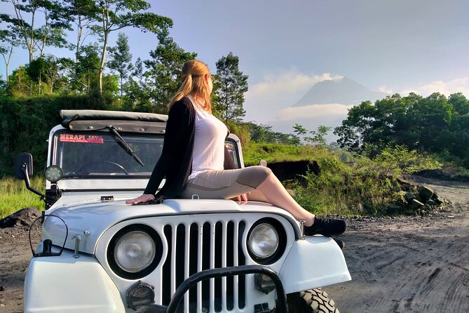 Borobudur, Merapi Volcano and Prambanan Temple Private Tour - Ticket choices and the value of the $50 price