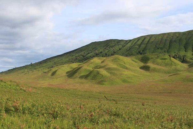 Bromo panorama tour to avoid the crowds - start Malang // 1 day tour - Walking across Bromo’s sea of sand