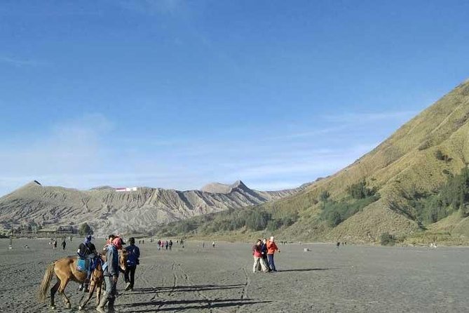 Bromo sunrise tour - start Surabaya // 1 day - The cold wait at Gunung Penanjakan