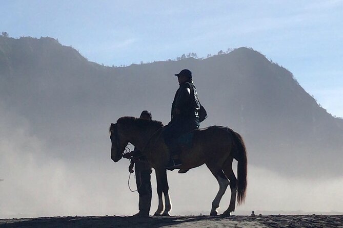 Bromo sunrise tour via Tumpang - start Malang // 1 day tour - Candi Jago closes the day with history