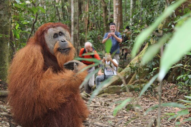 Bukit lawang tour 3days-2 night jungle trekking including rafting - Camp by the river, not a hotel room