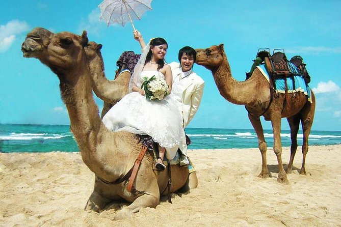 Camel Safari 30 minutes In White Sand Beach - Key points at a glance