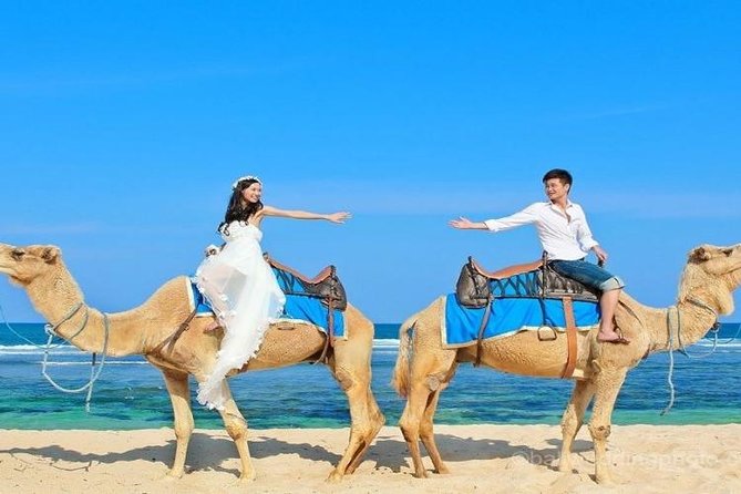 Camel Safari 30 minutes In White Sand Beach - A camel caravan on Sawangan Beach