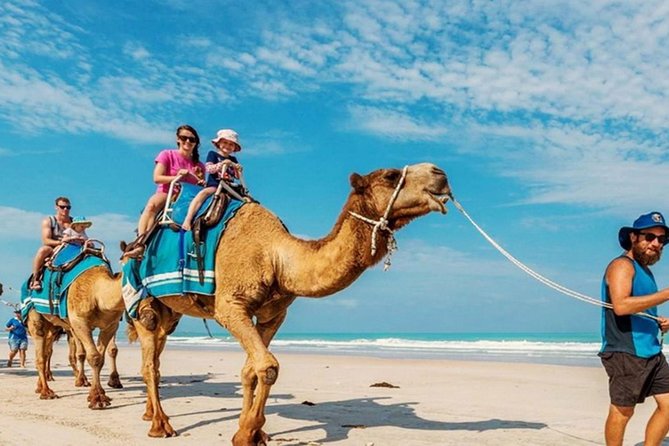 Camel Safari 30 minutes In White Sand Beach - Private transfers make the outing easier