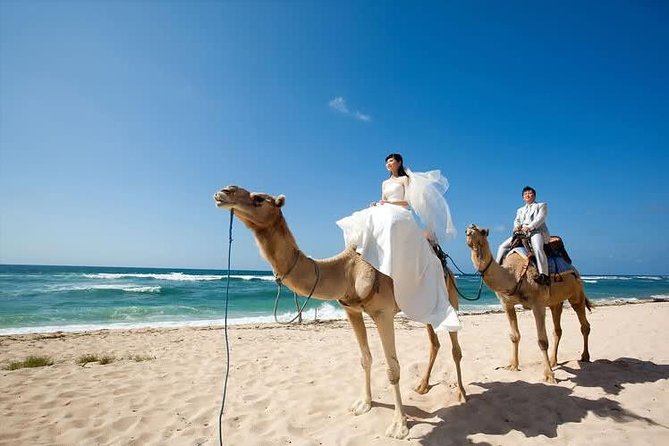 Camel Safari 30 minutes In White Sand Beach - How the experience compares with a normal beach visit