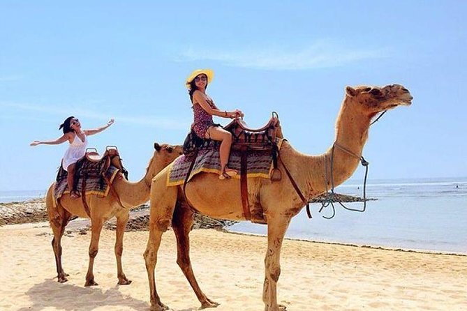 Camel Safari 30 minutes In White Sand Beach - Photo time is the real attraction
