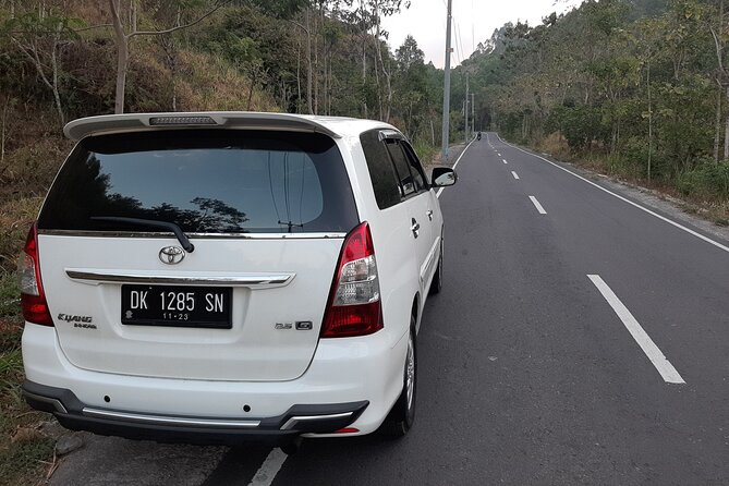 Candidasa Private Car with English Speaking Driver - Tegenungan Waterfall and the first big view