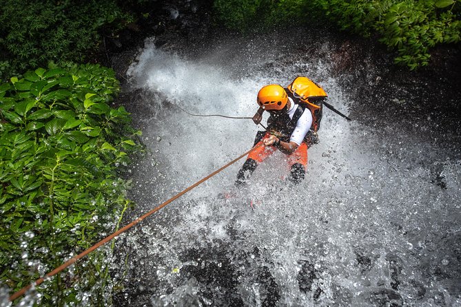 Canyoning Bali, Tamata Canyon (Adventure, discovery, nature) - Key points before you book