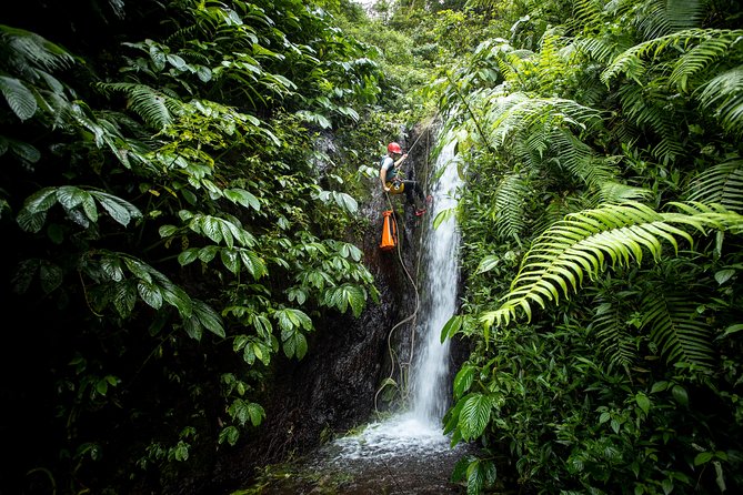 Canyoning Bali, Tamata Canyon (Adventure, discovery, nature) - A 6:00 am start from Ubud