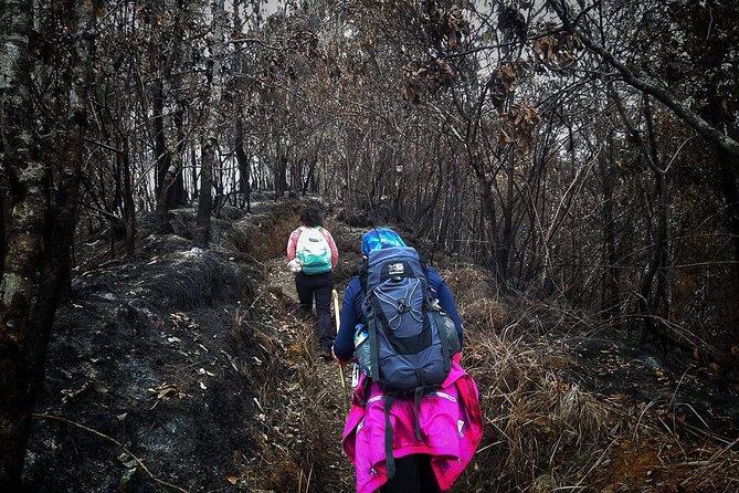 Conquer Mount Rinjani Second Summit: A 2-Day, Lombok-Indonesia - What the $160 Price Includes