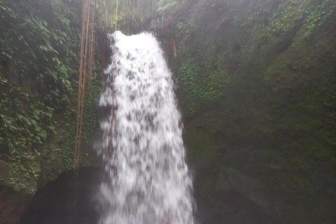 CRETYA Ubud infinity Pool + Hidden Water fall + Water Temple Tour - Who will enjoy this Bali day tour