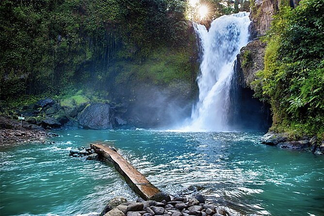 Customizable full-day tour of Bali with private driver - Ubud’s compact mix of temples, terraces, and water