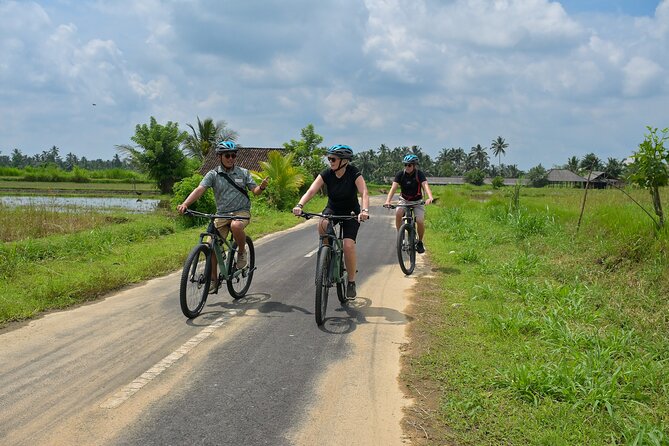 Cycling and Cooking Class in Ubud - The people who will get the most from this tour