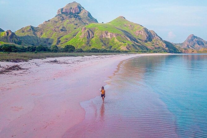 Daily Trip Highlight Komodo Archipelago by Speed Boat - A long day built around dragons and reefs