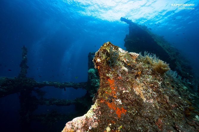 Day Trip certified divers - 3 Dives in Tulamben (pick-up & drop-off included) - Lunch, breaks, and the long return road