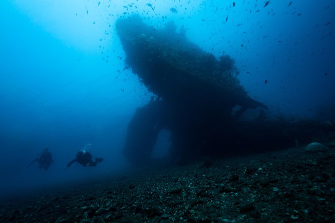 Day Trip certified divers - 3 Dives in Tulamben (pick-up & drop-off included) - What your 7am pickup and Tulamben arrival look like