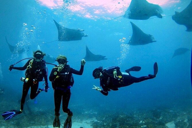 Day Trip Discover Scuba dive in Nusa Penida 2 dives (From Sanur - South Bali) - Why Nusa Penida works for a first scuba experience