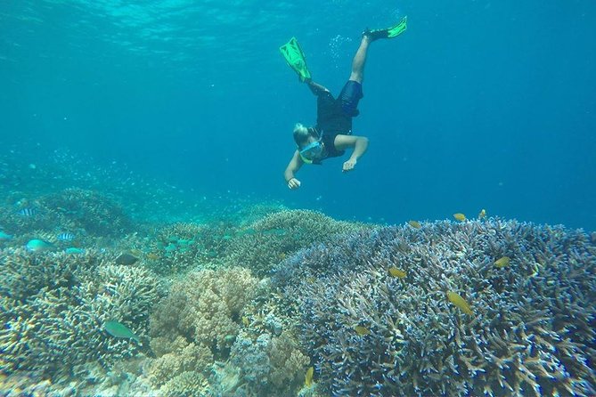 Day Trip Gili Trawangan, Gili Meno, Gili Air (Depart Lombok) - What the $97 Price Really Covers