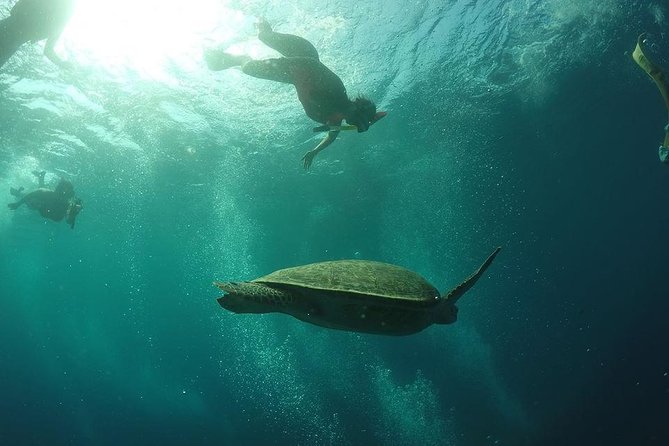 Day Trip Gili Trawangan, Gili Meno, Gili Air (Depart Lombok) - Timing, Conditions, and Small Practical Warnings