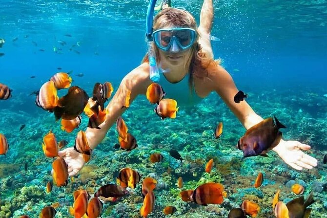 Day Trip: Nusa Penida Snorkling - Kelingking Beach and the Famous T-Rex Cliff