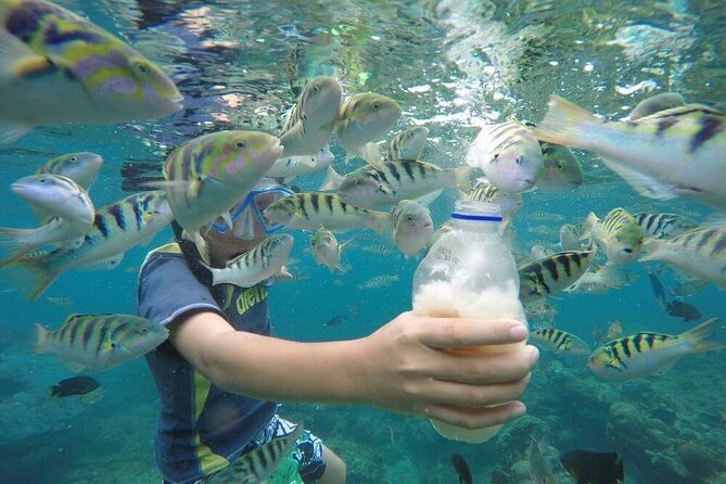 Day Trip: Nusa Penida Snorkling - What the Private Vehicle Adds to the Day