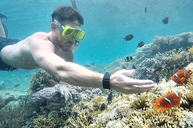 Day Trip Secret Island West Of Lombok - Gili Rengit is the strongest choice for calm water