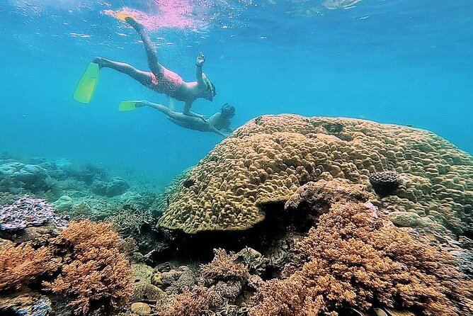 Day Trip Secret Island West Of Lombok - Gili Asahan adds another reef stop