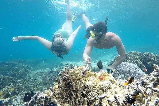 Day Trip Secret Island West Of Lombok - What the $125 group price really buys you