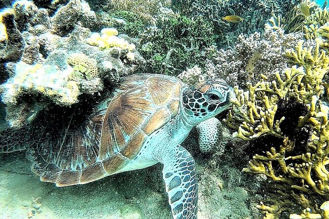 Day Trip Secret Island West Of Lombok - Timing, fitness, and practical planning