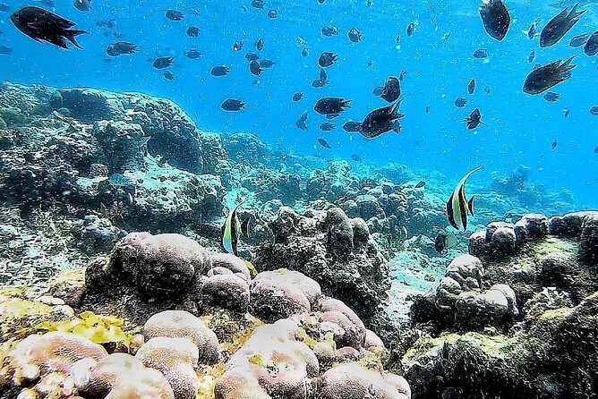 Day Trip Secret Island West Of Lombok - Who will enjoy this trip most