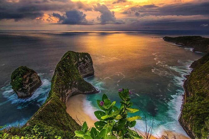 Day Trip to Nusa Penida with All Inclusive - Crystal Bay for sand, palms, and the sea