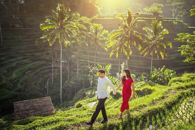 Day Trip: Ubud Monkey Forest, Rice Terrace, Temple and Waterfall - Family life, plantations, and Balinese craft villages