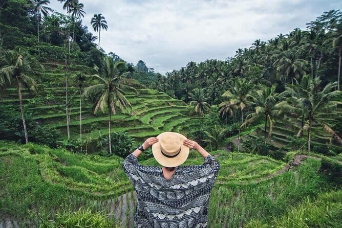 Discover Bali in 3 Days of Scenic and Cultural Delights - What the private guide adds to the experience