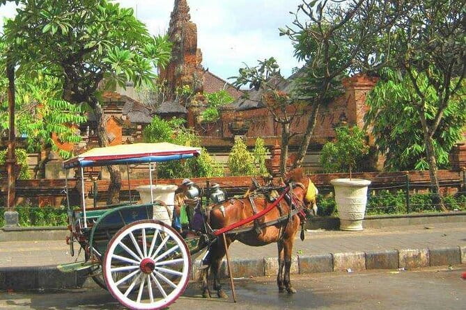 Discover Bali : Shore Excursion from Benoa Port with Free Wi-Fi - A full day from Benoa Harbour to Bali’s interior