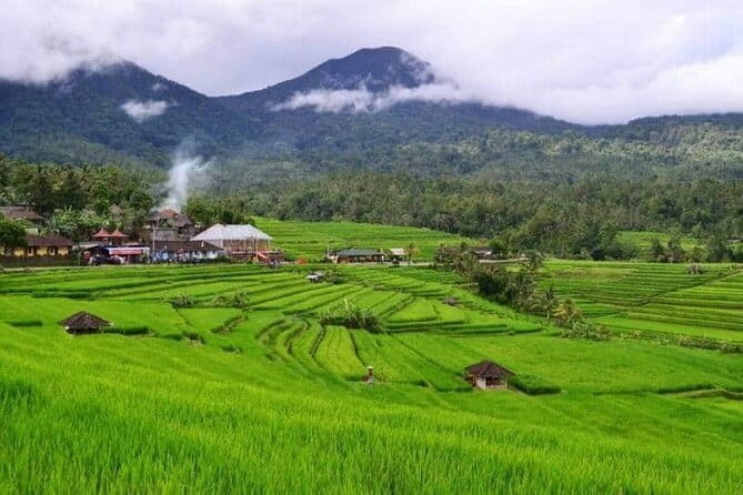 Discover Bali : Shore Excursion from Benoa Port with Free Wi-Fi - Is $119 a fair price?