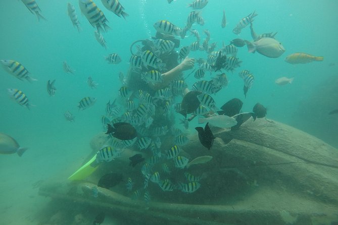 Discover Scuba Diving ( beginners) Combined With Jet Ski - What this Nusa Dua water experience is really like